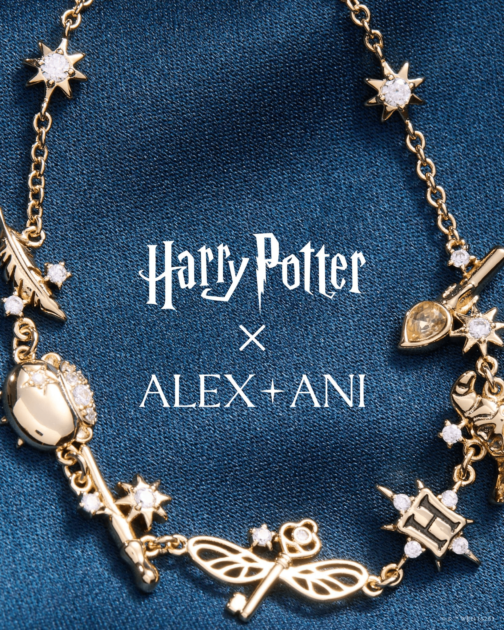 ALEX AND ANI X Harry Potter - Shirley Shoppe