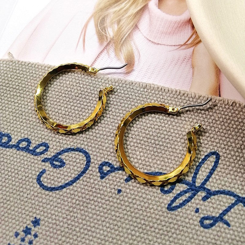 Circle Personalized Frosty Style Female Cool Handsome Earrings