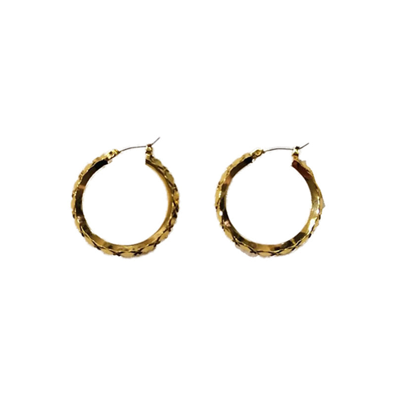 Circle Personalized Frosty Style Female Cool Handsome Earrings