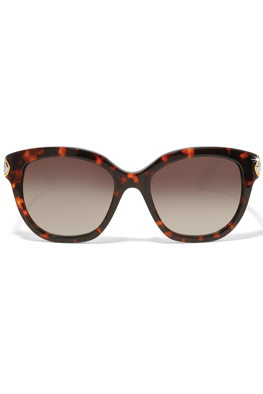 Intrigue Amber Tort Sunglasses