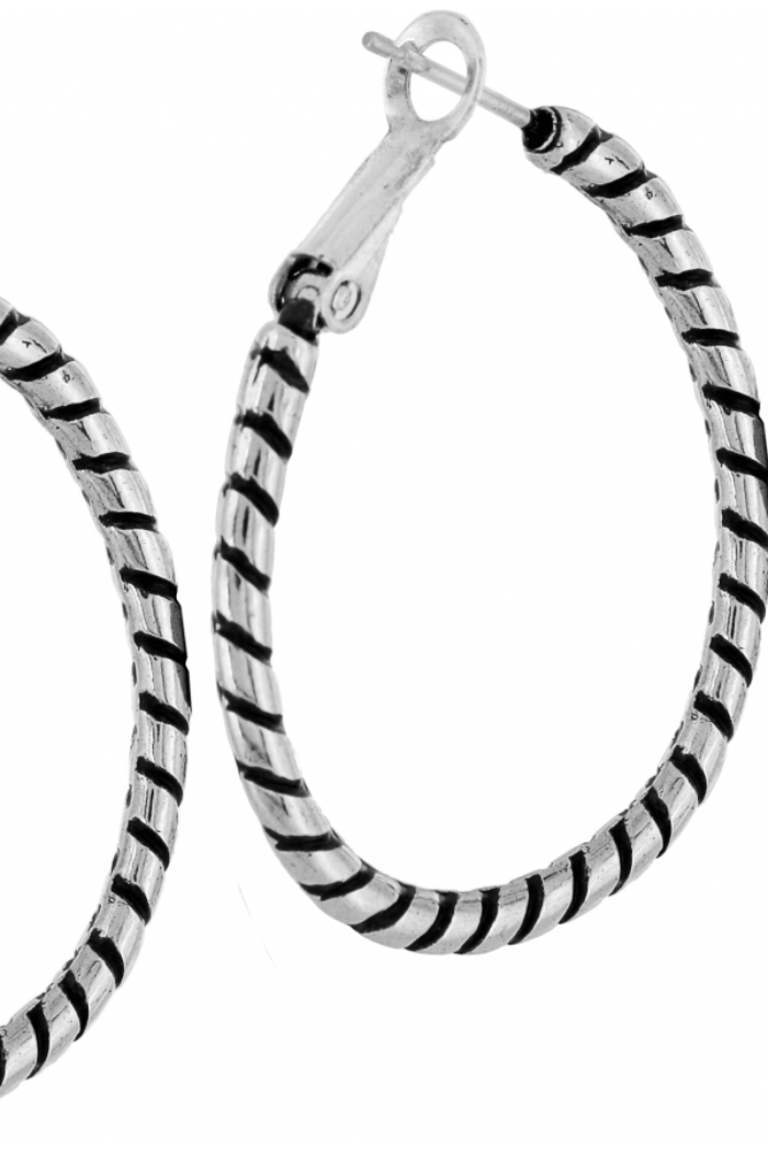 Twist Oval Hoop Charm Earrings