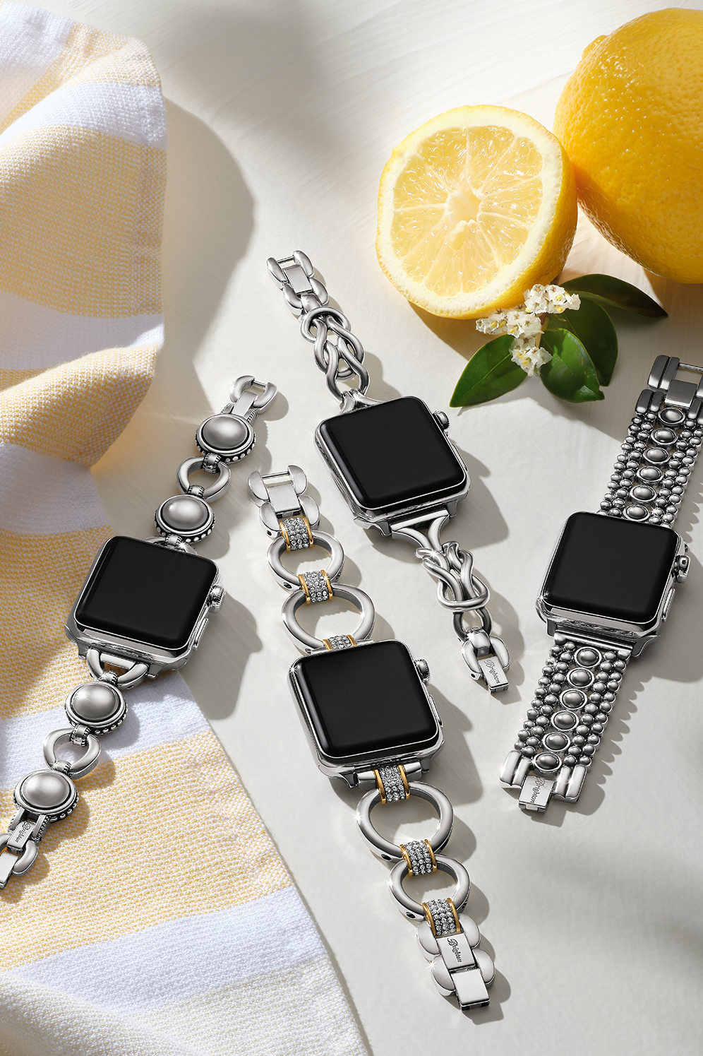 Meridian Tempo Watch Band