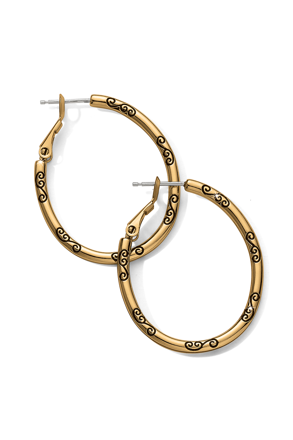 Oval Hoop Charm Earrings