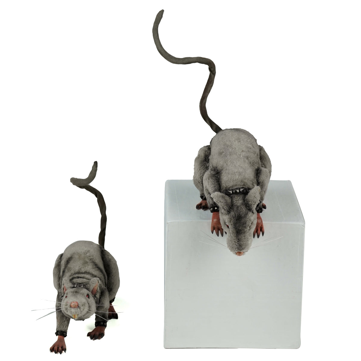 Tabletop and Ledge Hanging Rats Assortment of 2 | Halloween Decor | Katherine's Collection