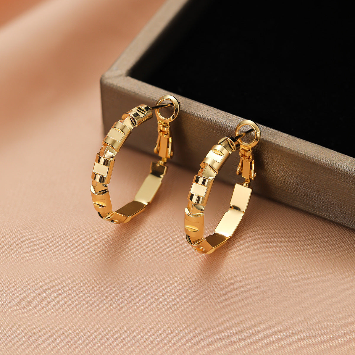 Women's Of Sier Big Hoop Light Luxury High-grade Ear Earrings