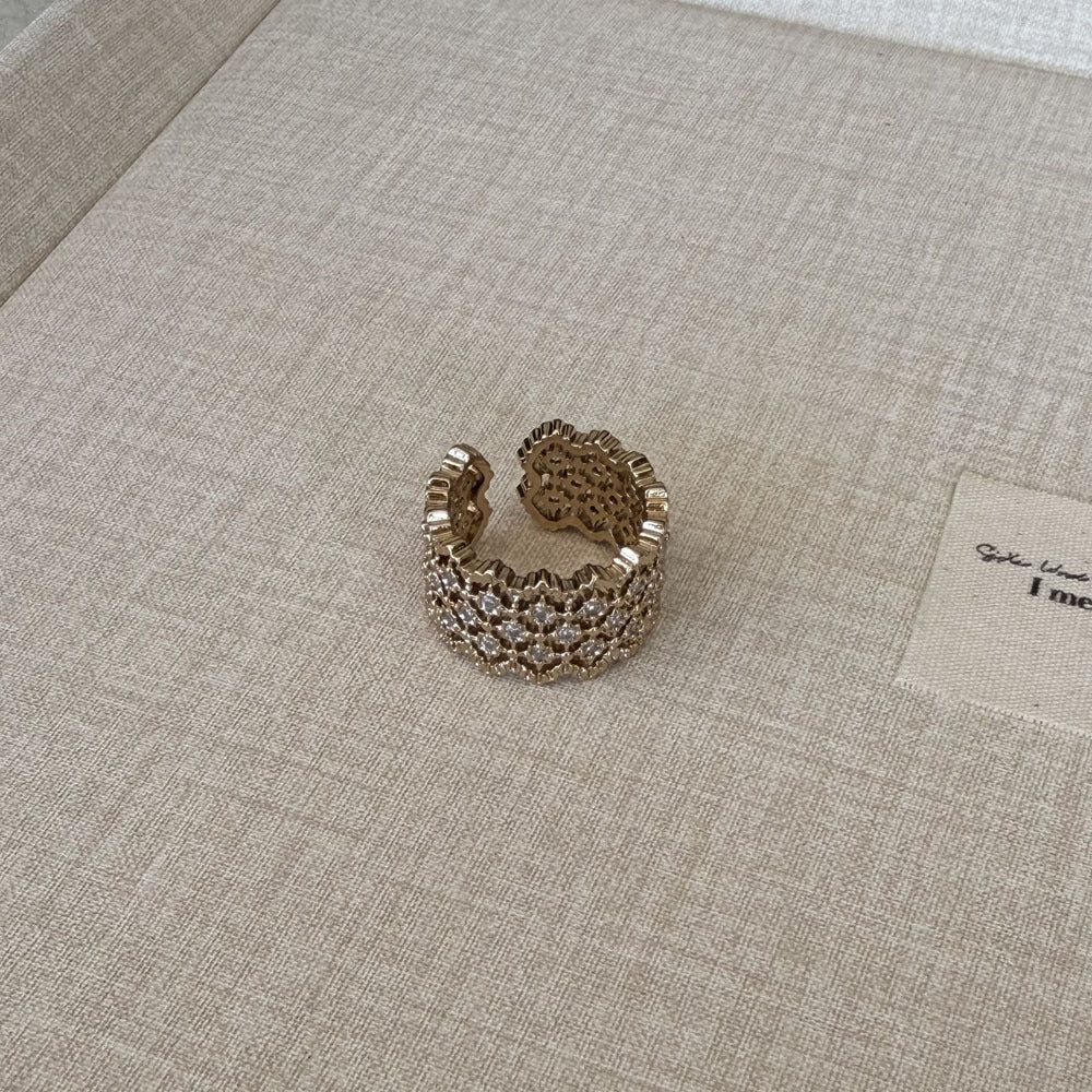 Special Interest Light Luxury Hollow Zircon Index Finger Female French Rings