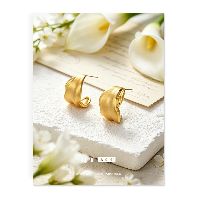 Women's Shaped Sier Special Interest Light Luxury High-grade Stud Earrings