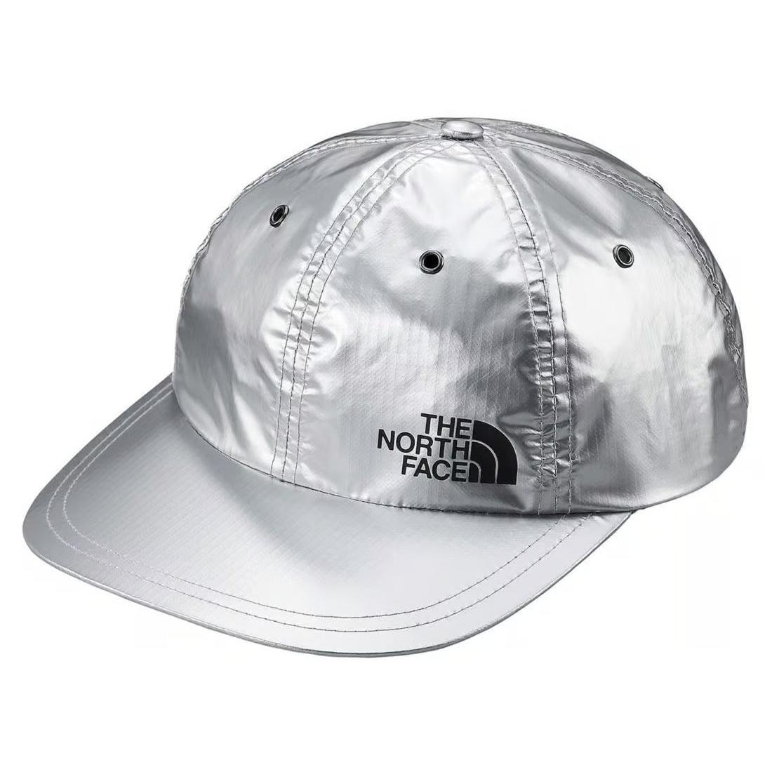 Supreme The North Face Metallic 6-Panel Silver