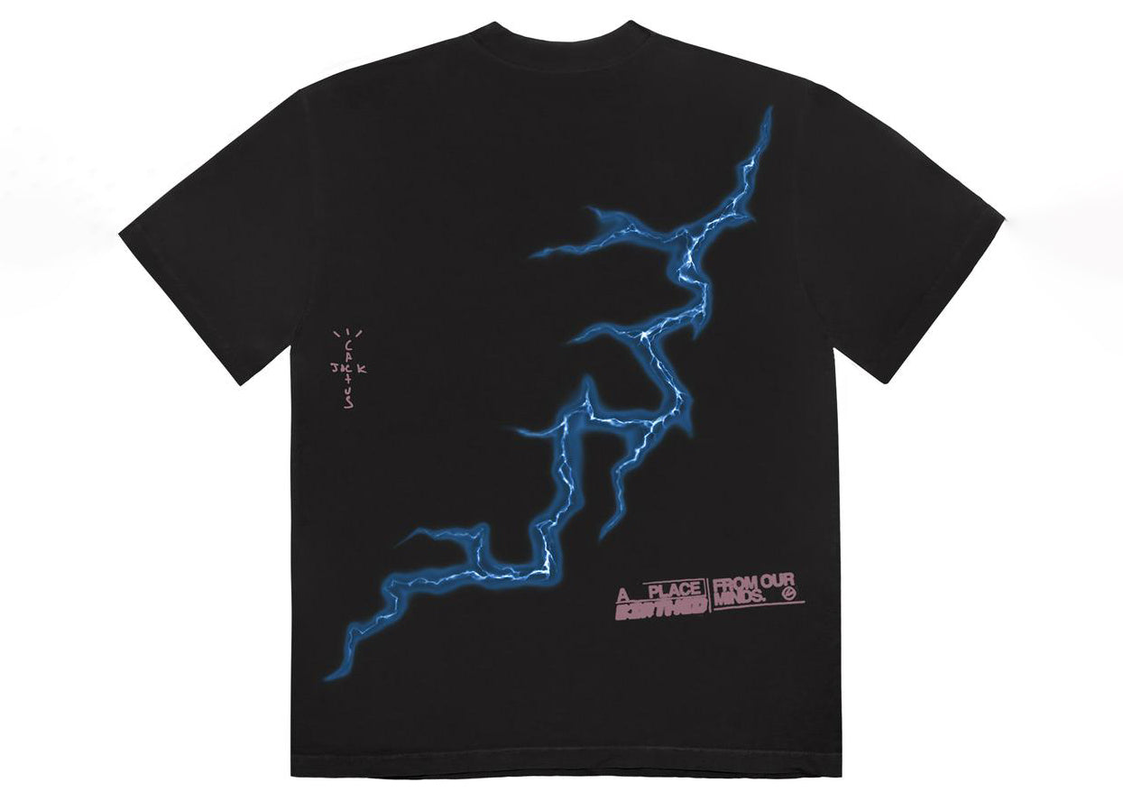 Travis Scott Cactus Jack For Fragment Danger Tee Washed Black