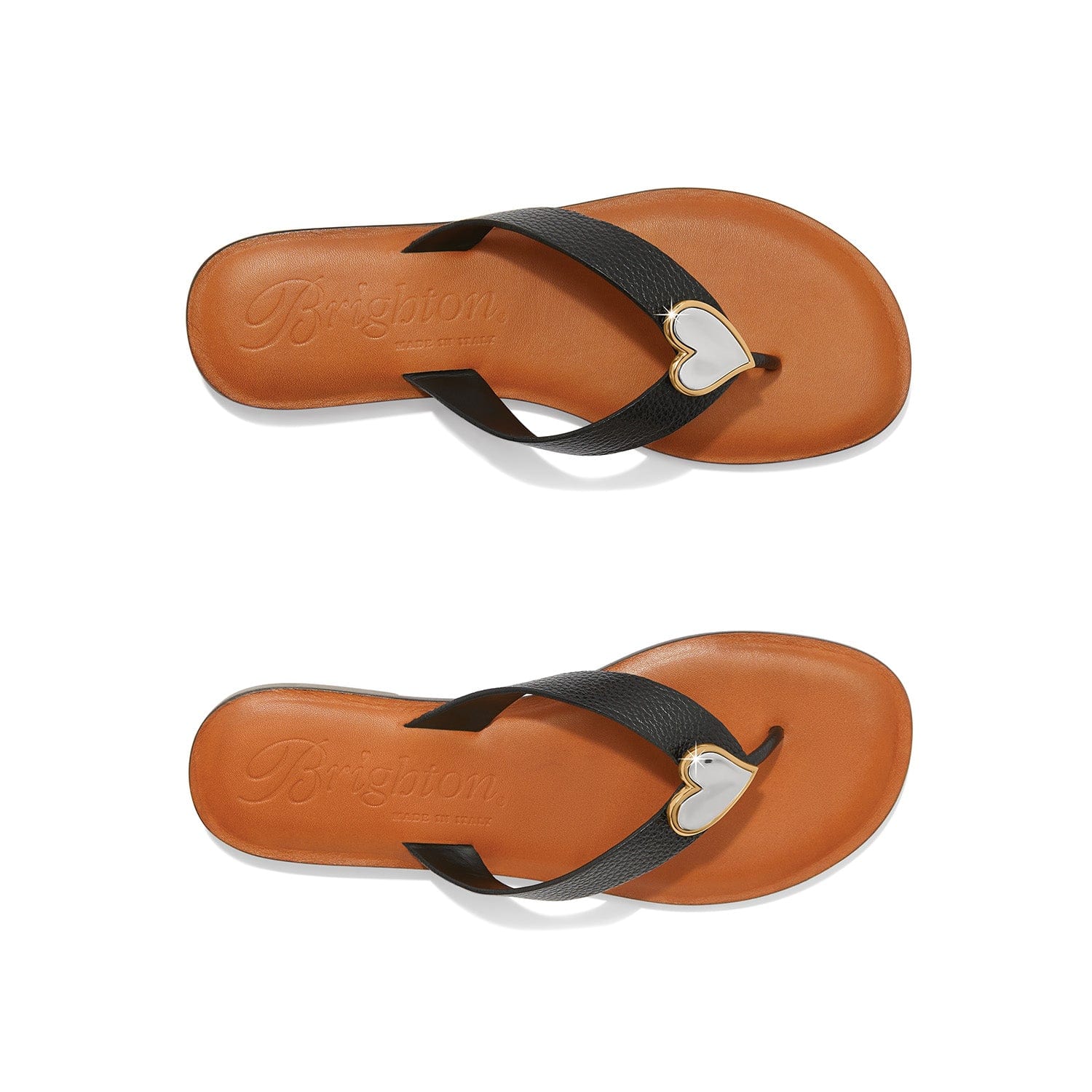 Amigo Flat Thongs