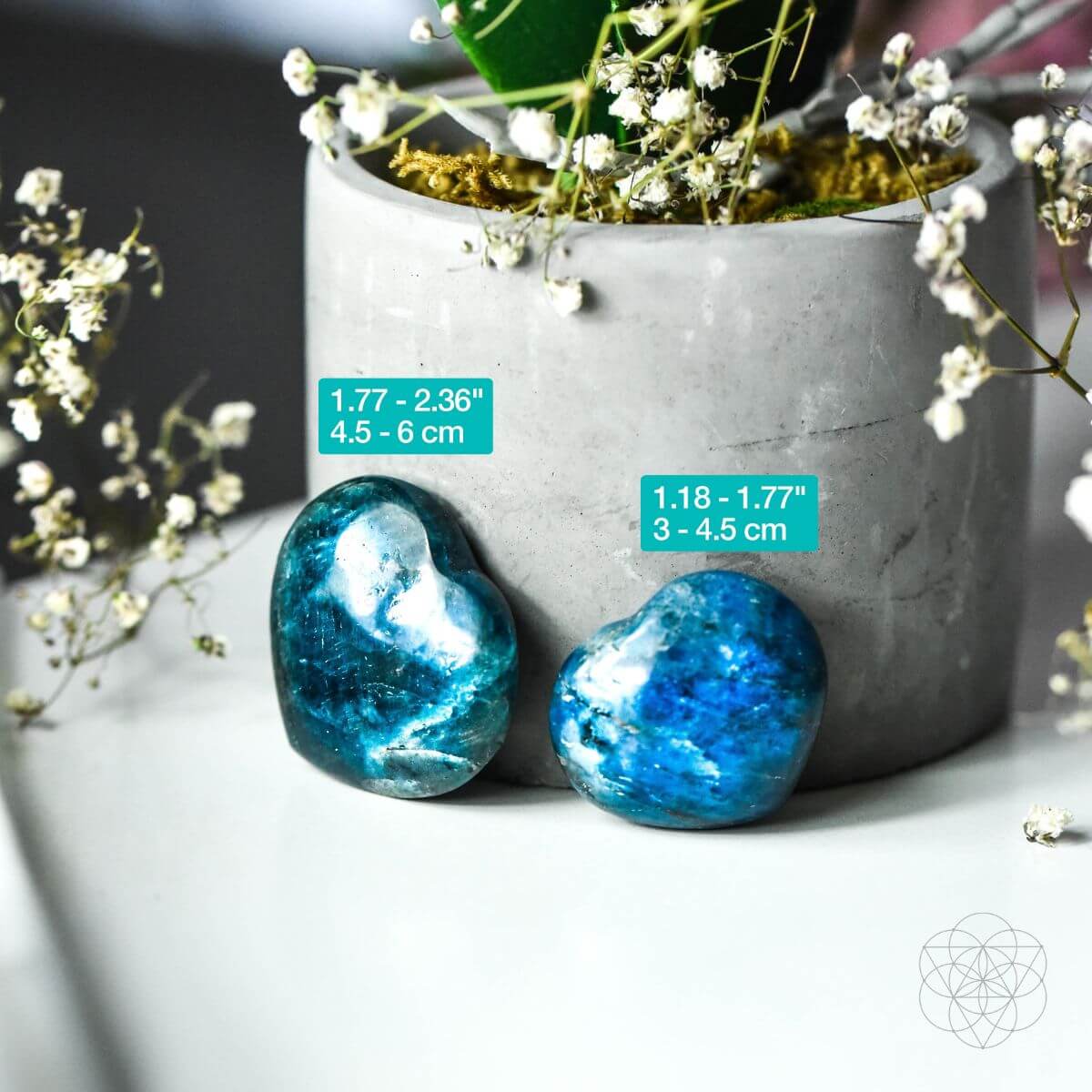 Apatite Heart of Positivity by Conscious Items at Shirley Shoppe