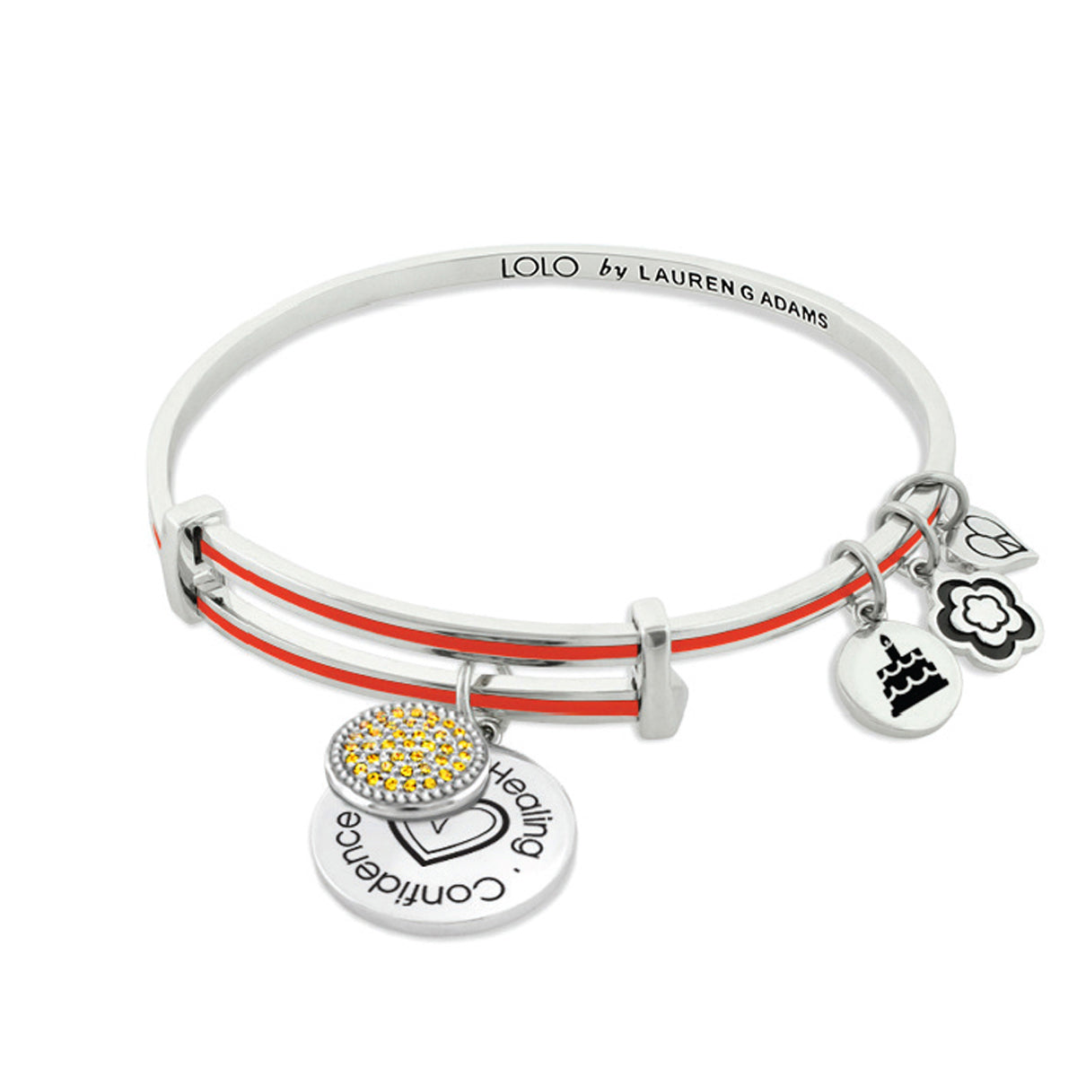 January Birthstone Color Bangle