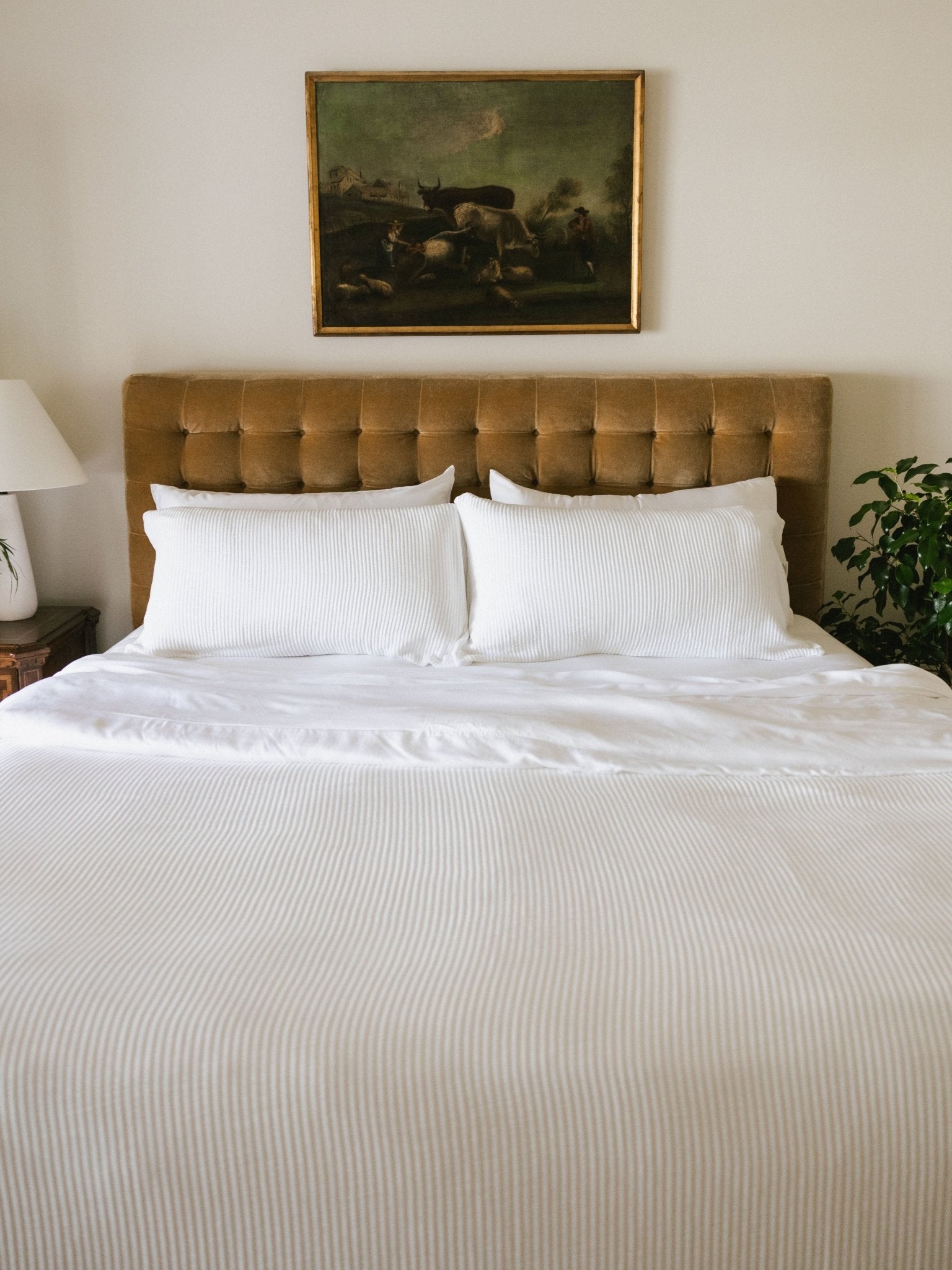 Bamboo Coverlet - Last Chance by Cozy Earth at Shirley Shoppe