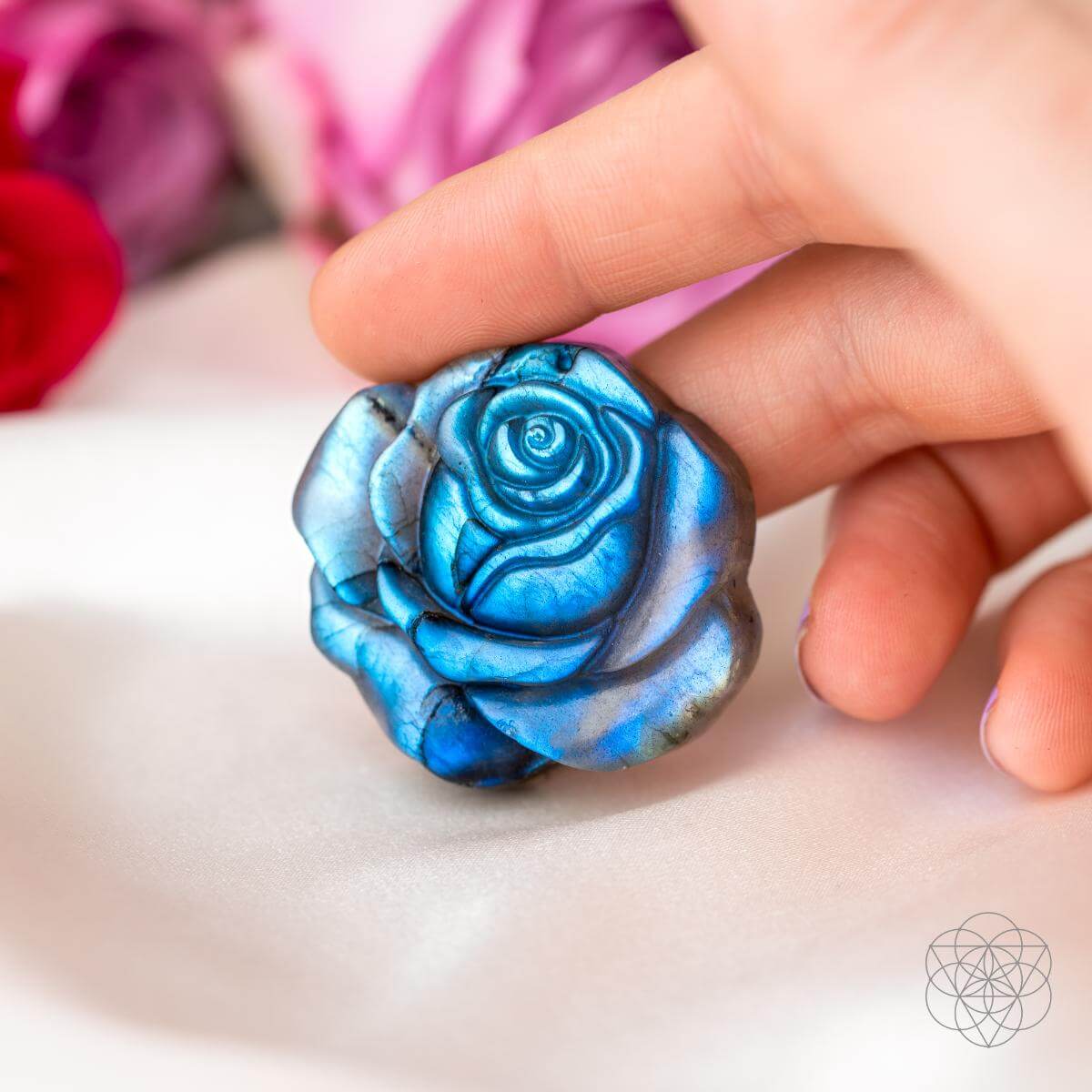 Beautifully Unique - Blossoming Rose of Singularity by Conscious Items at Shirley Shoppe