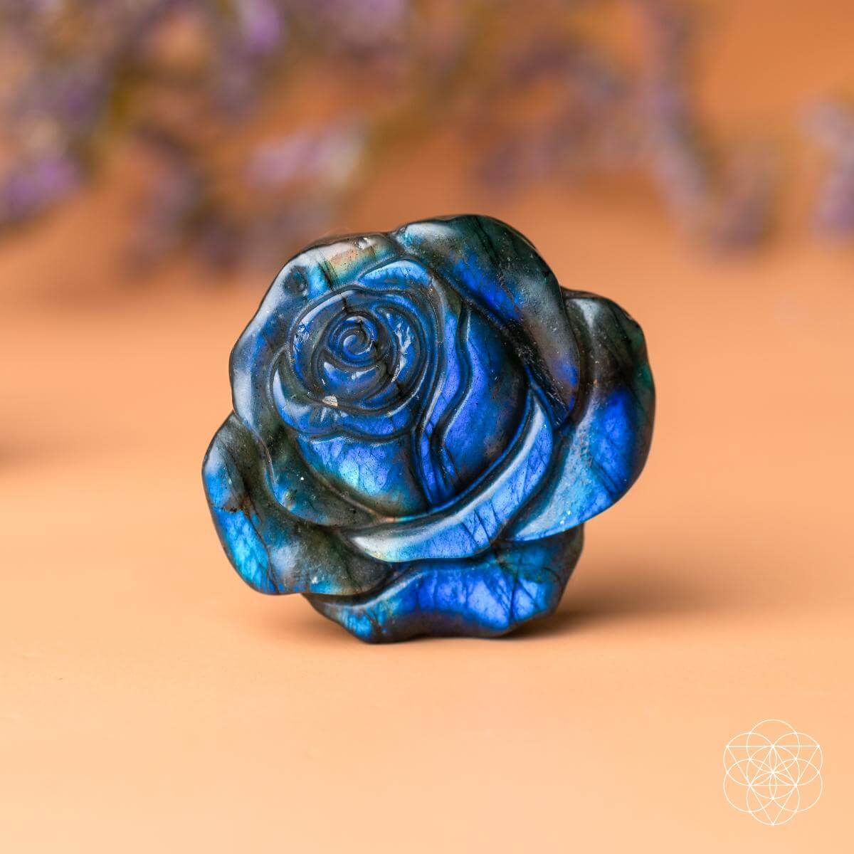 Beautifully Unique - Blossoming Rose of Singularity by Conscious Items at Shirley Shoppe