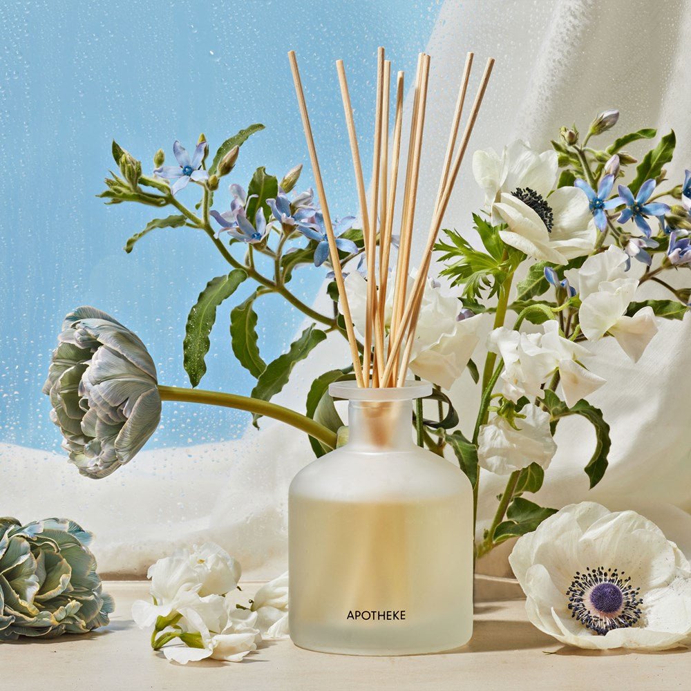 Canvas Reed Diffuser by APOTHEKE at Shirley Shoppe