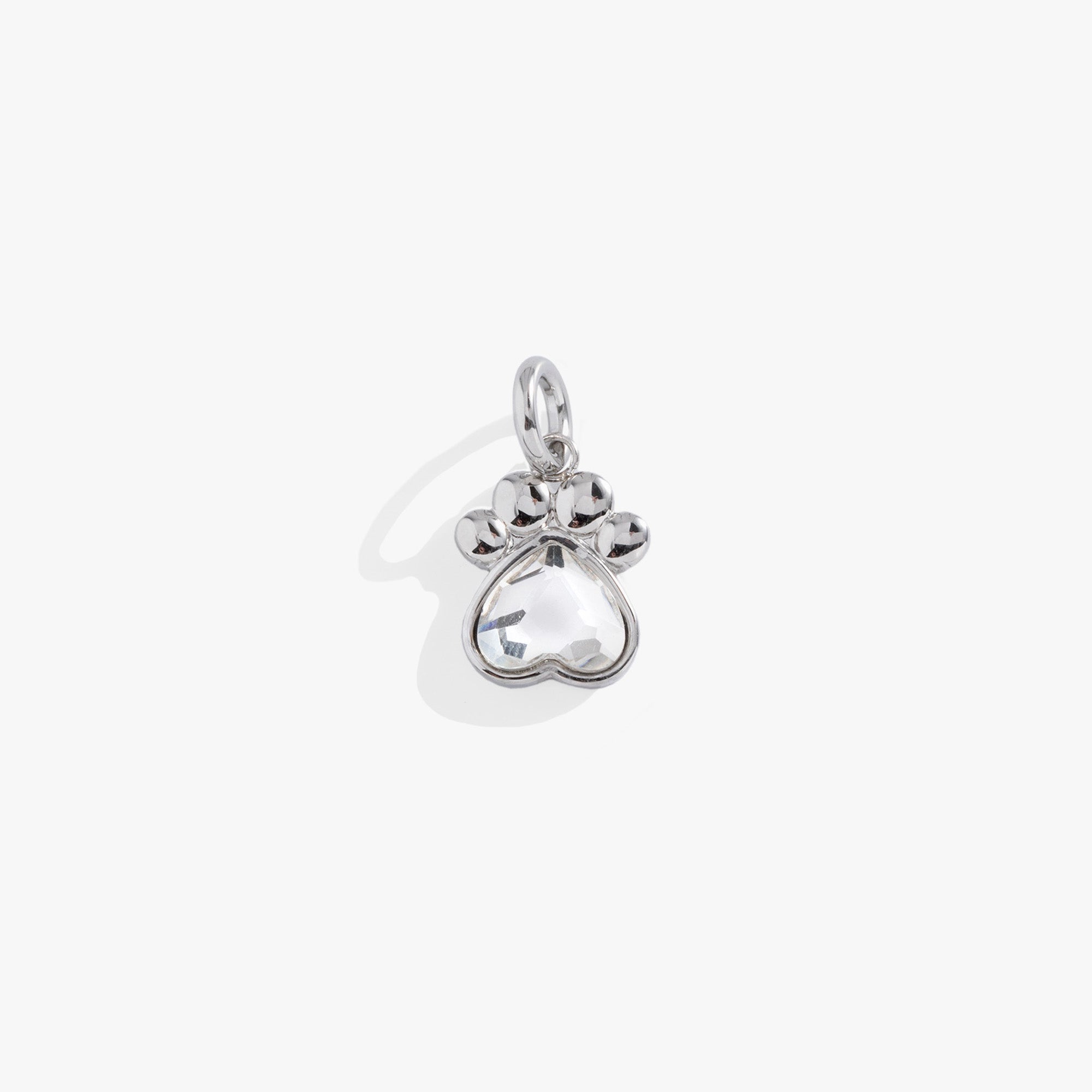 Crystal Paw Interchangeable Charm by ALEX AND ANI at Shirley Shoppe