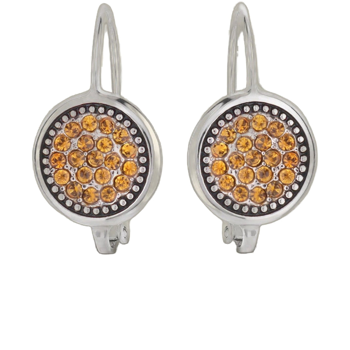 November Birthstone Color Earrings