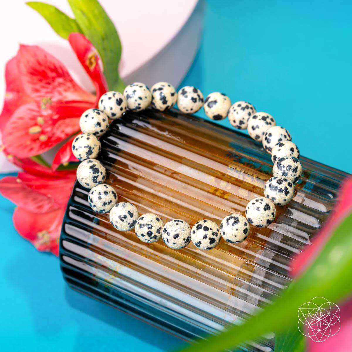 Emotional Detox - Dalmatian Jasper Bracelet by Conscious Items at Shirley Shoppe