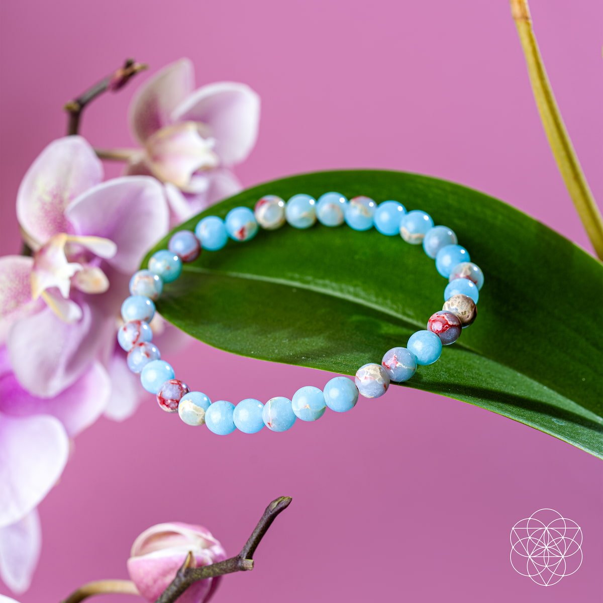 Empath’s Shield – Aqua Terra Jasper Bracelet | 6mm by Conscious Items at Shirley Shoppe