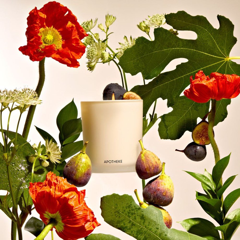 Fig and Olive Leaf Classic Candle by APOTHEKE at Shirley Shoppe