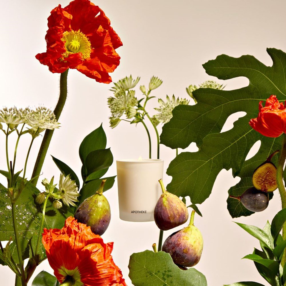 Fig and Olive Leaf Votive Candle by APOTHEKE at Shirley Shoppe
