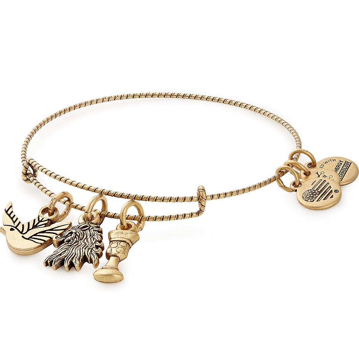Game of Thrones™ House Lannister Charm Bangle by ALEX AND ANI at Shirley Shoppe