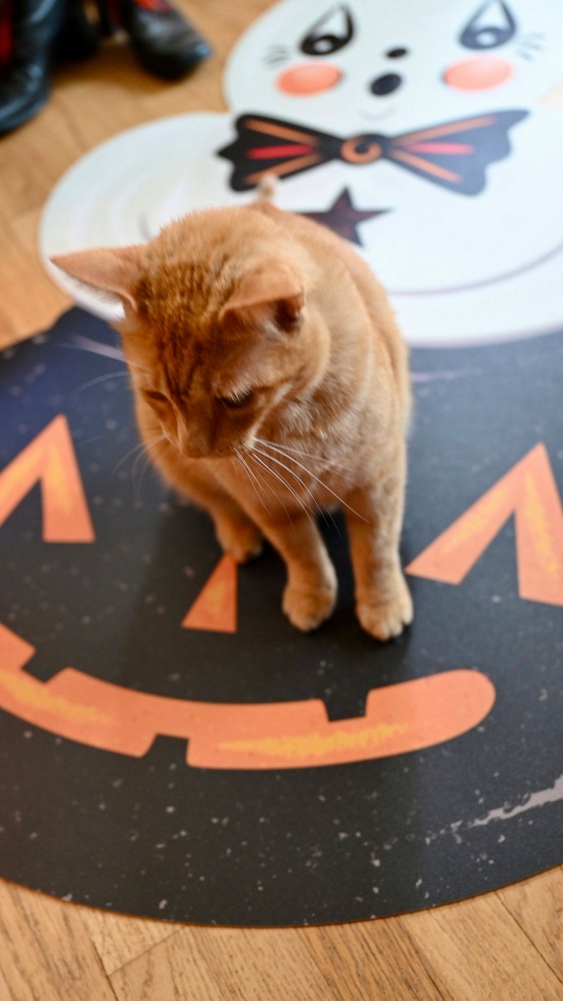 Ghostie in Caudron Die Cut Vinyl 76" Halloween Floor Decor by Johanna Parker by Quirks! at Shirley Shoppe