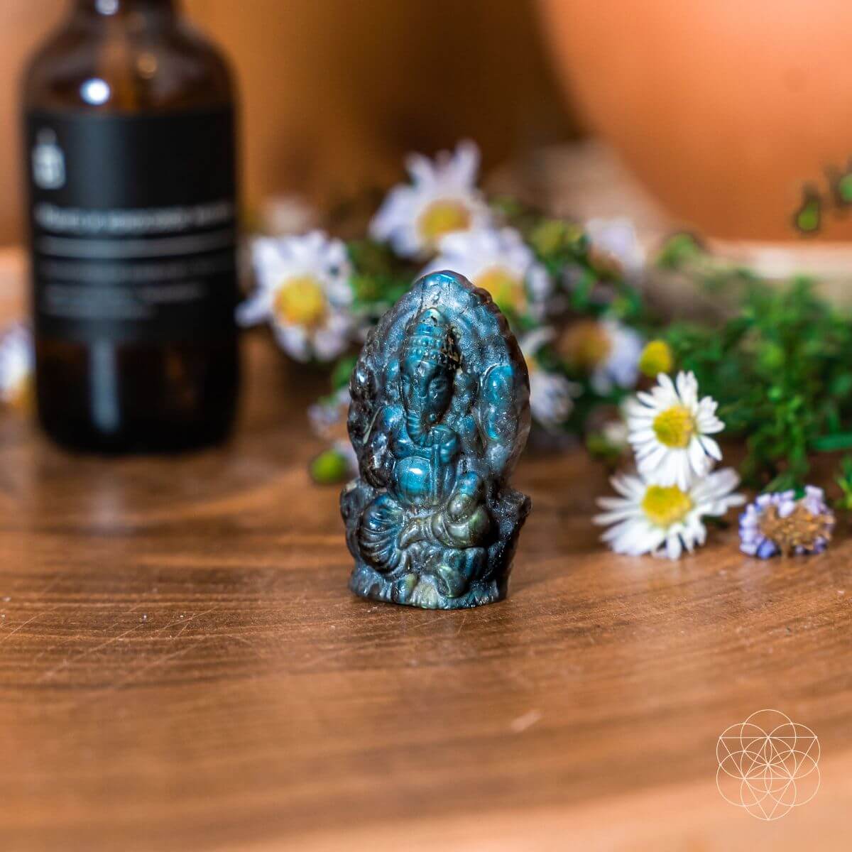 God of Luck: Crystal Ganesh Statue by Conscious Items at Shirley Shoppe