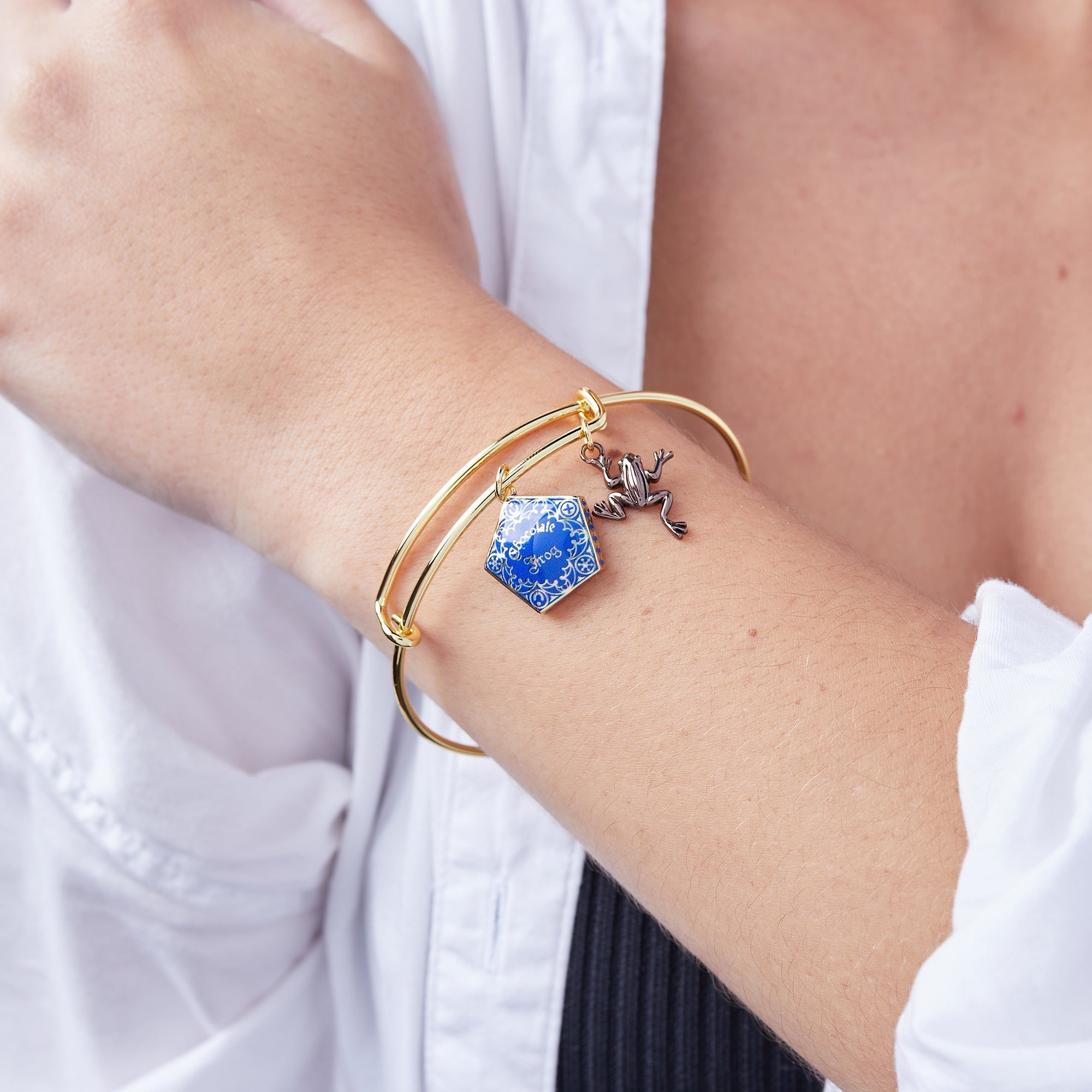 Harry Potter™ Chocolate Frog Two - Charm Bangle by ALEX AND ANI at Shirley Shoppe