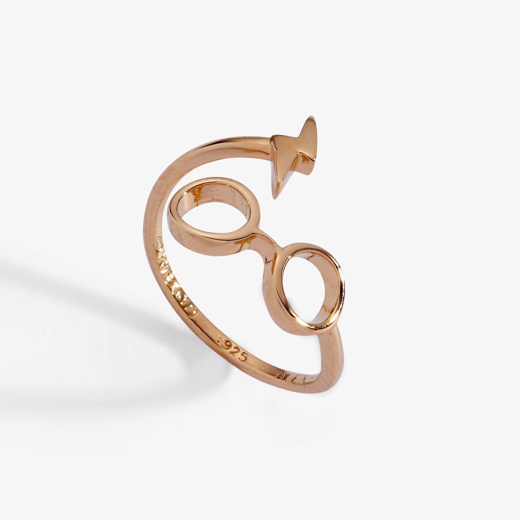 Harry Potter™ Glasses + Scar Ring Wrap by ALEX AND ANI at Shirley Shoppe