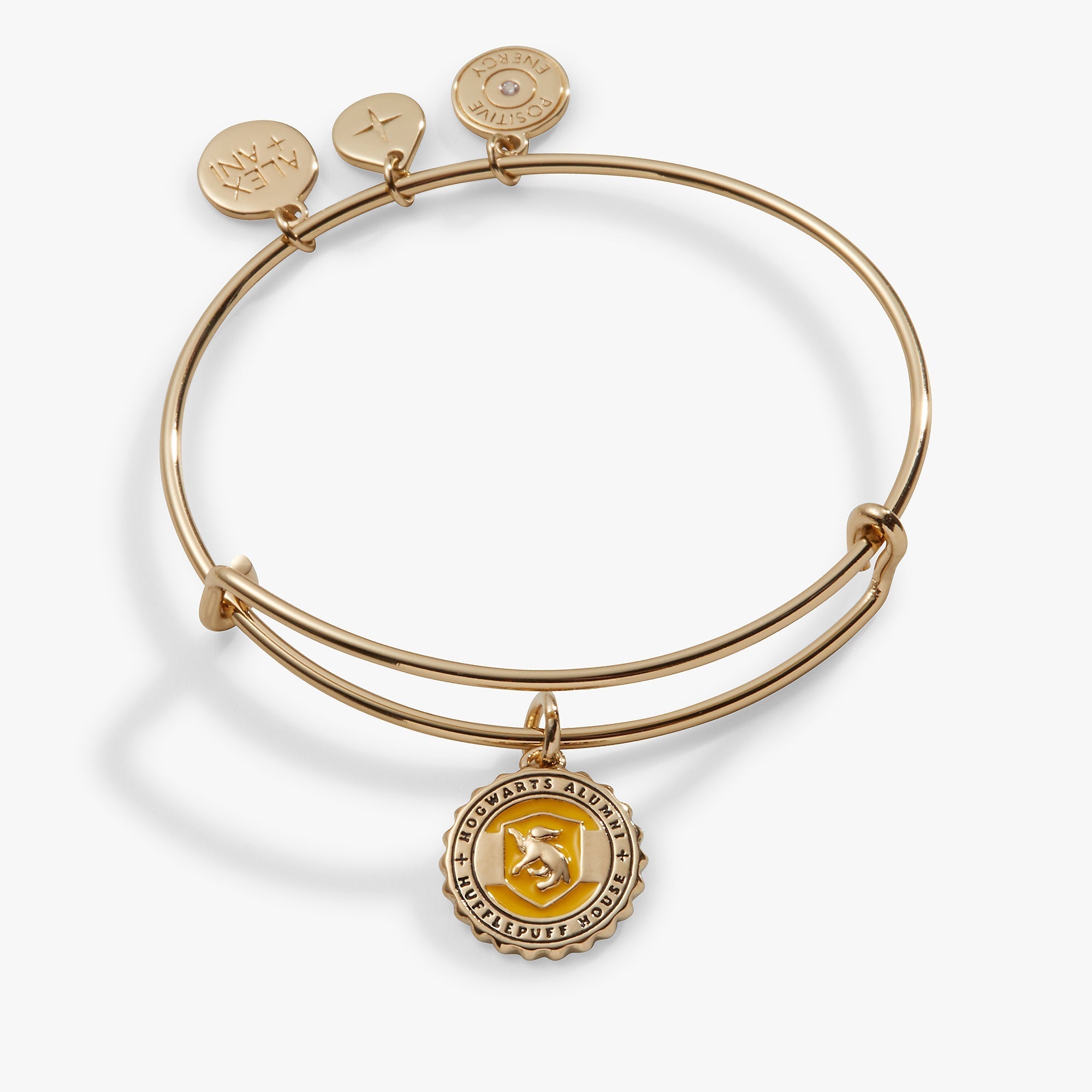 Harry Potter™ Hufflepuff House Charm Bangle by ALEX AND ANI at Shirley Shoppe