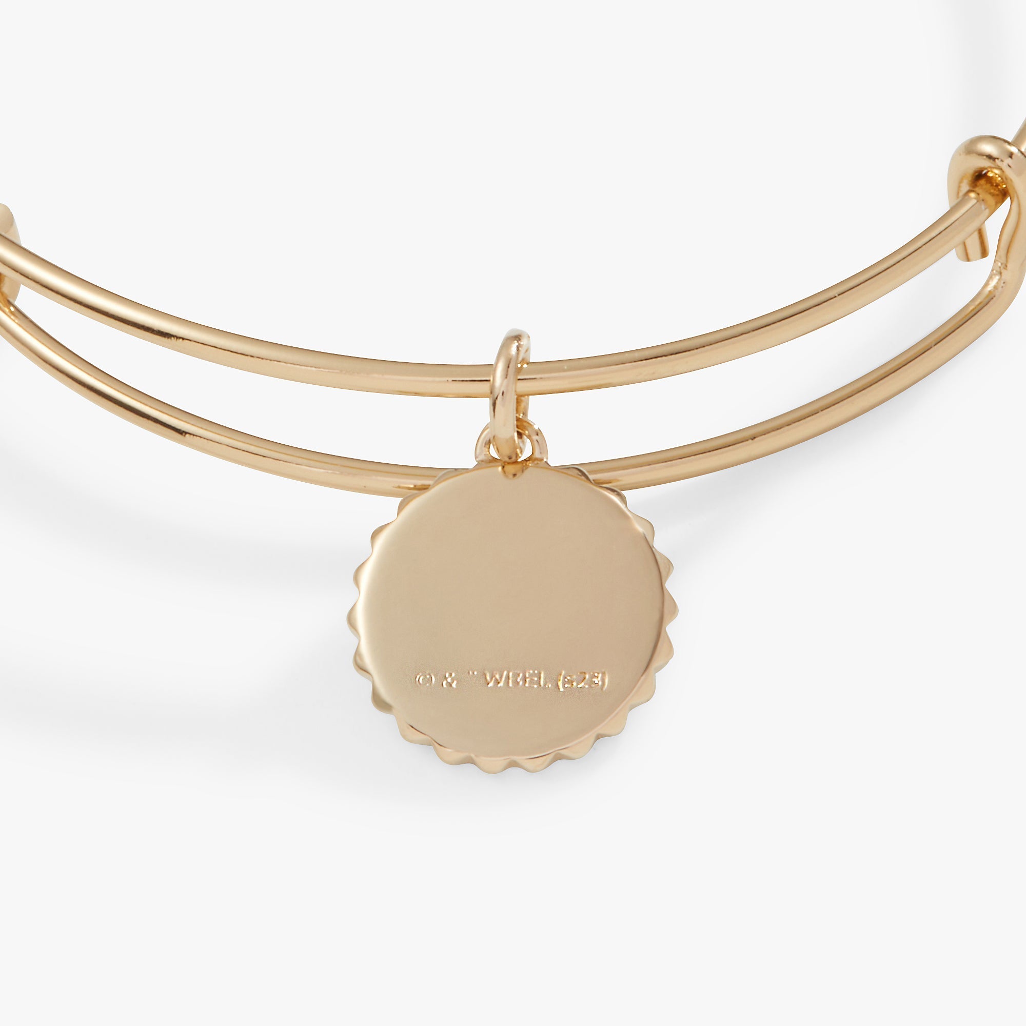 Harry Potter™ Hufflepuff House Charm Bangle by ALEX AND ANI at Shirley Shoppe