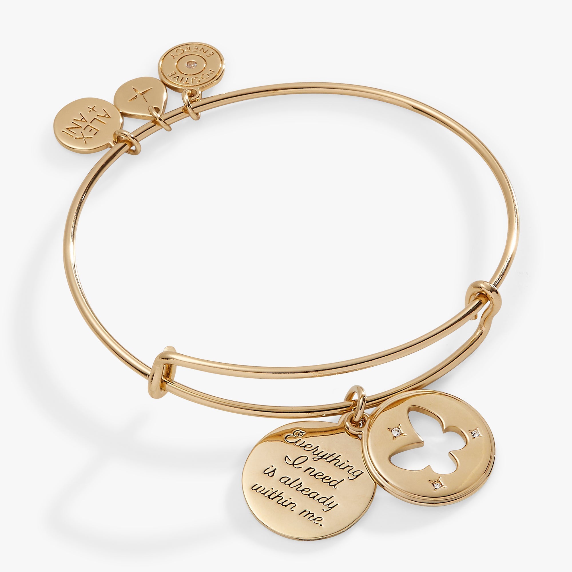 Hidden Message Butterfly Affirmation Bangle by ALEX AND ANI at Shirley Shoppe