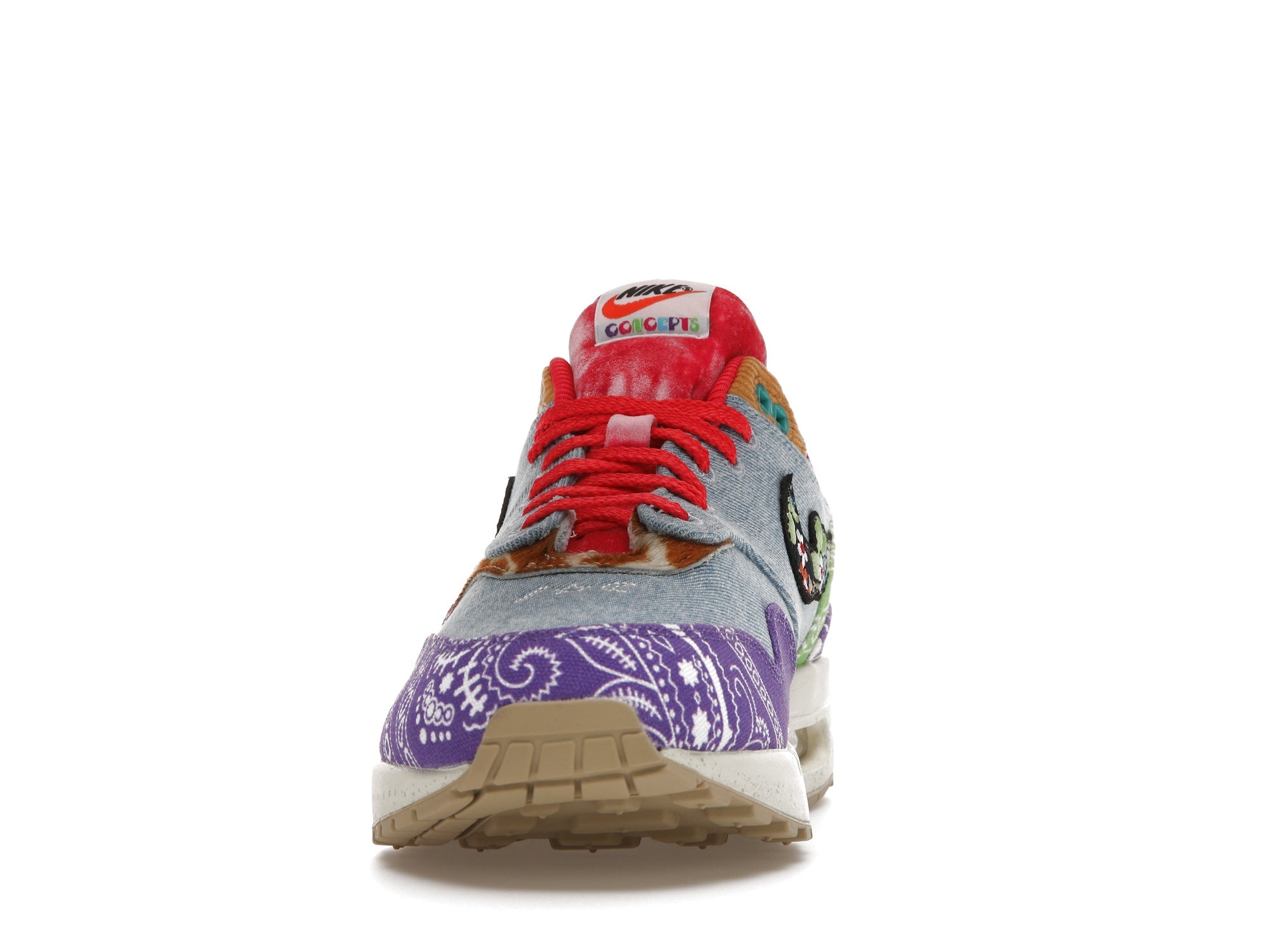Nike Air Max 1 SP Concepts Far Out (Special Box)