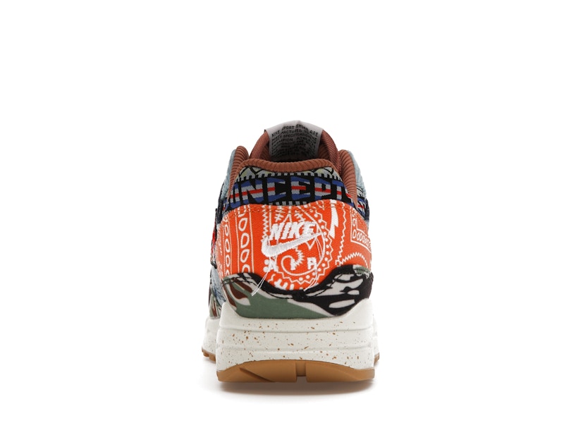 Nike Air Max 1 SP Concepts "Heavy"
