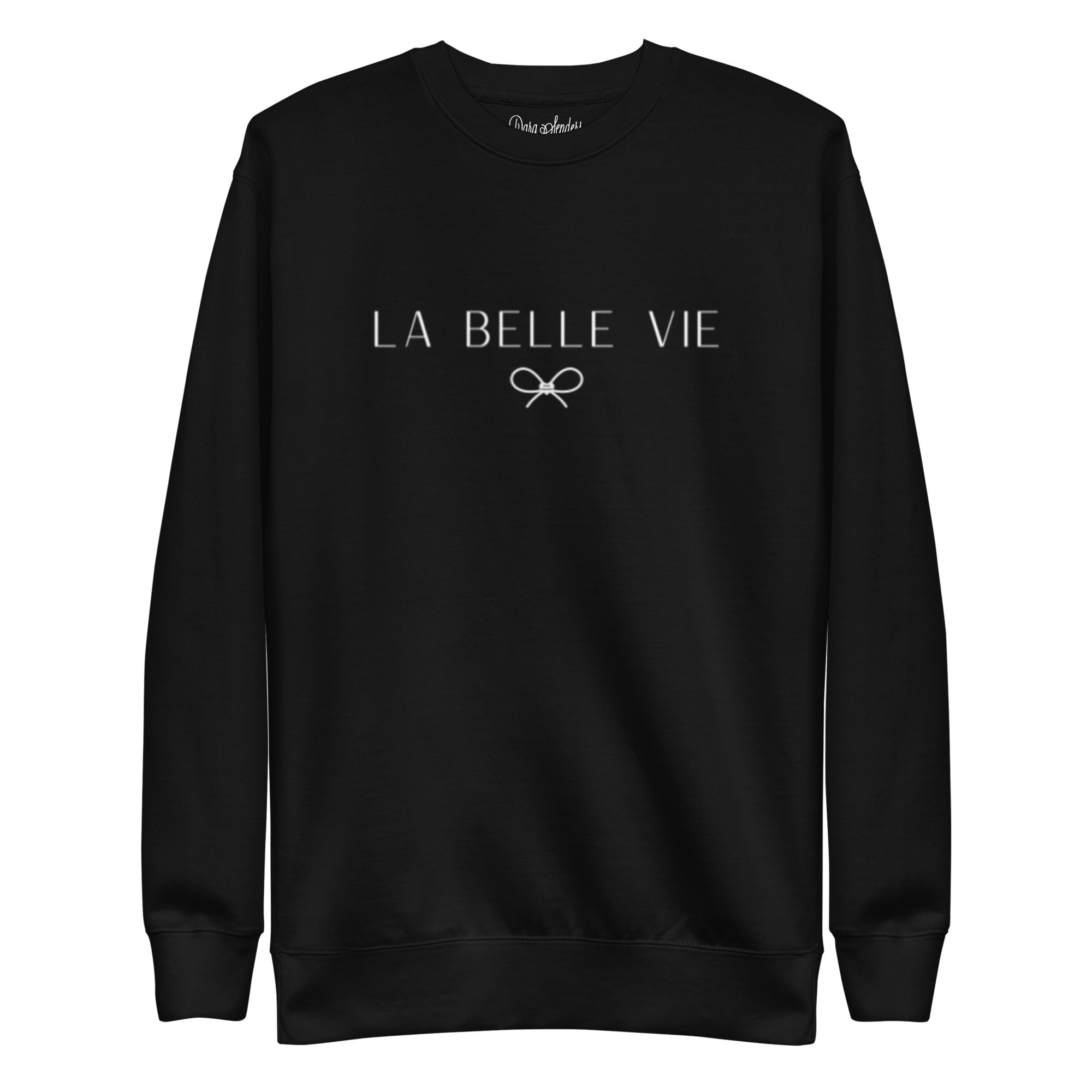 LA BELLE VIE SWEATSHIRT • EMBROIDERED PULLOVER by DARA SENDERS at Shirley Shoppe