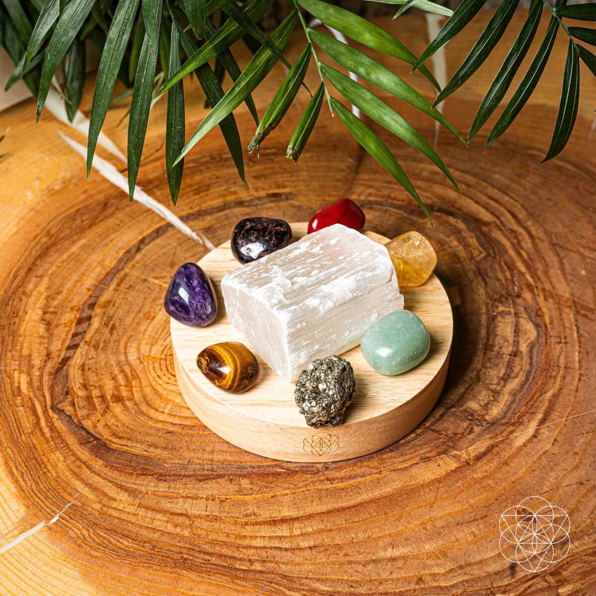 Money-Magnet Lamp by Conscious Items at Shirley Shoppe