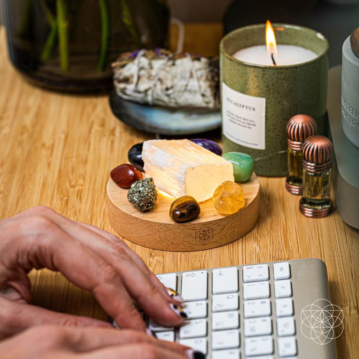 Money-Magnet Lamp by Conscious Items at Shirley Shoppe