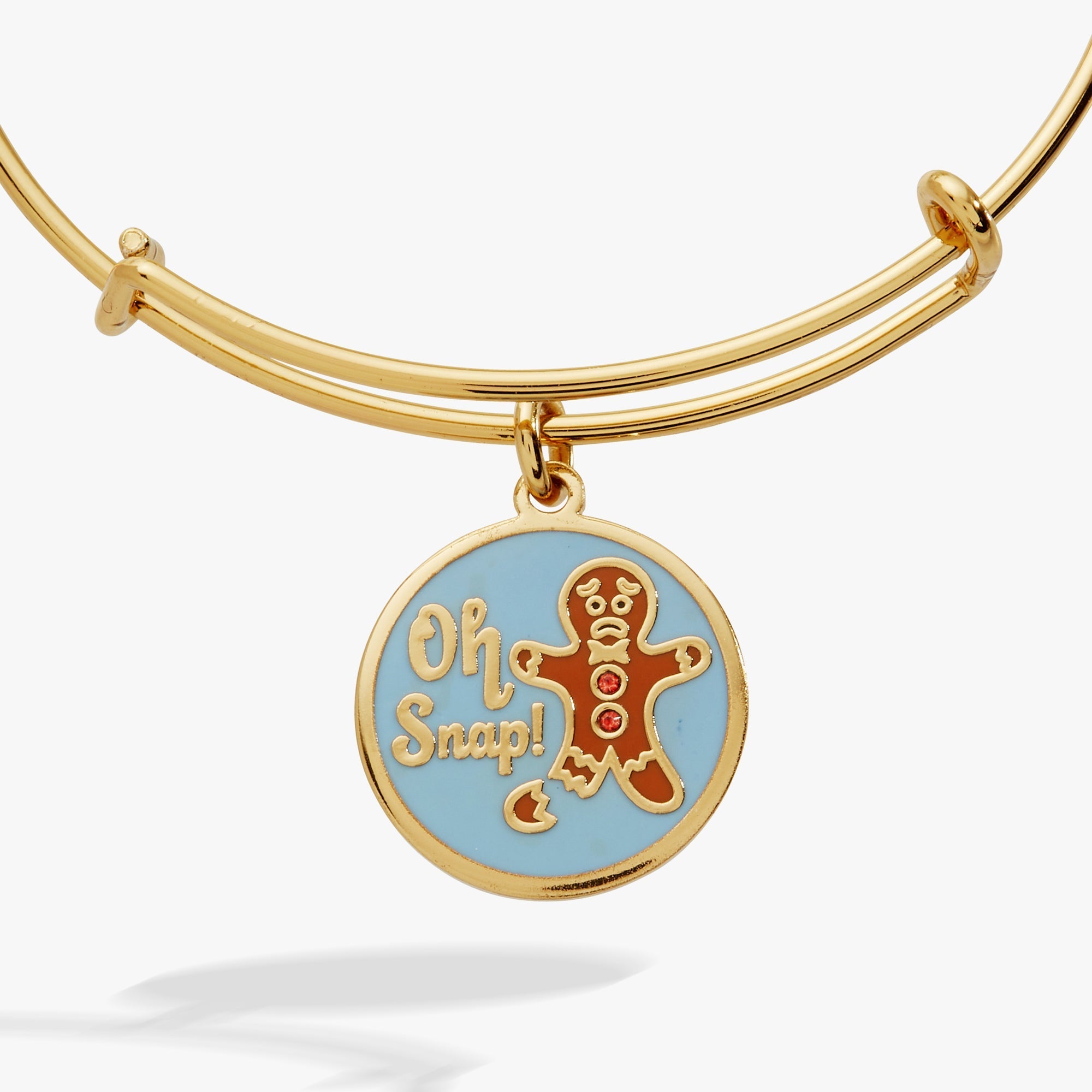'Oh Snap!' Gingerbread Charm Bangle by ALEX AND ANI at Shirley Shoppe