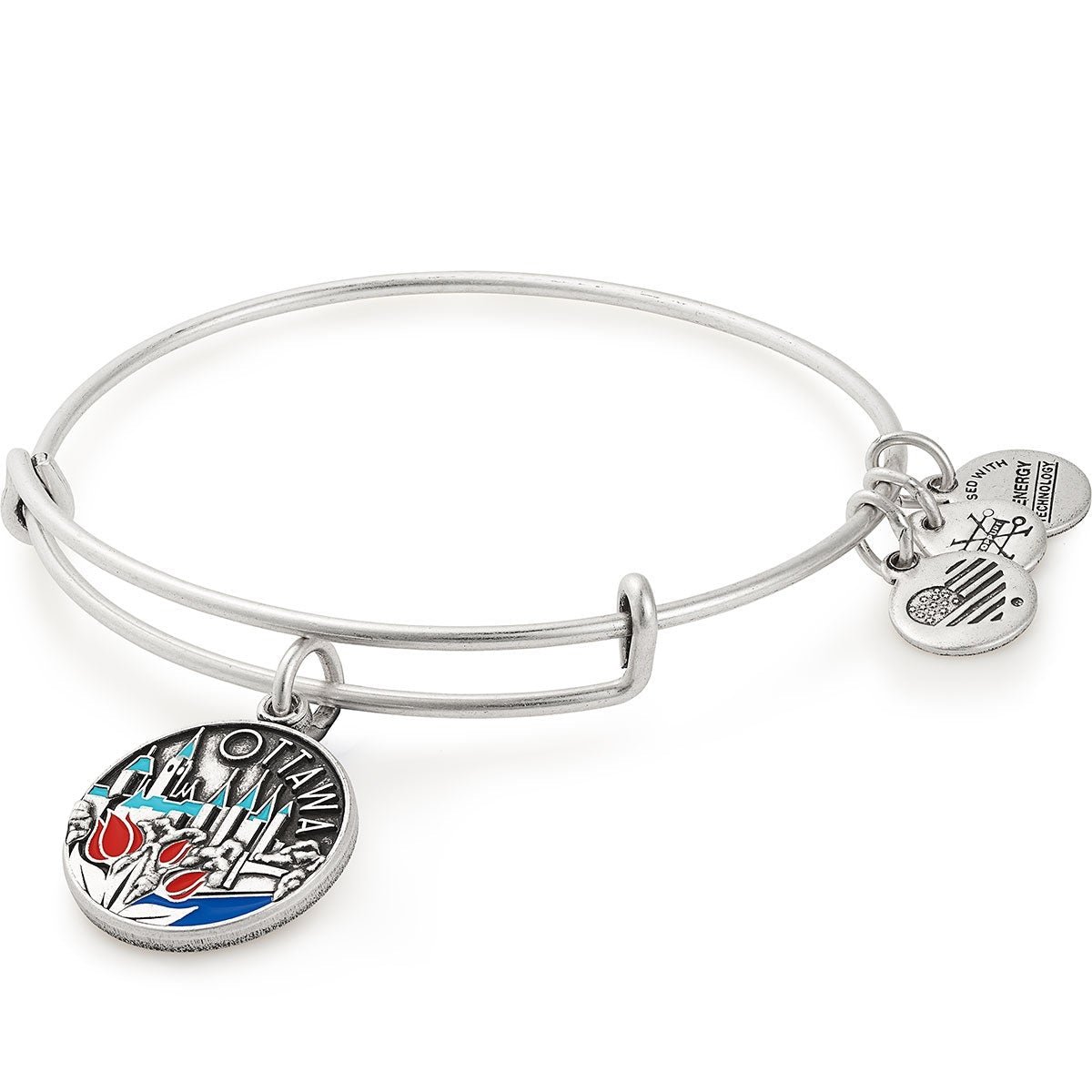 Ottawa Charm Bangle by ALEX AND ANI at Shirley Shoppe