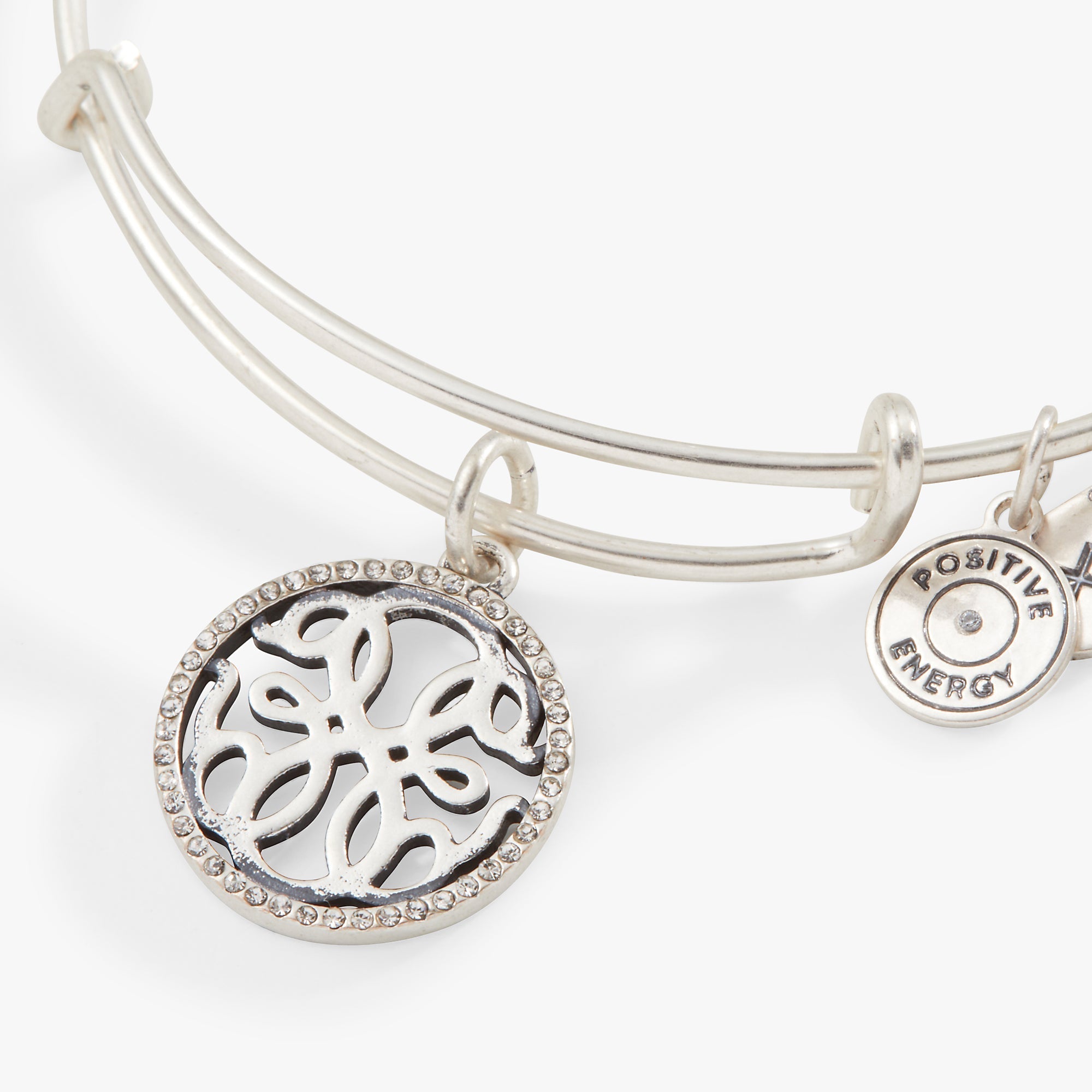 Path of Life Charm Bangle by ALEX AND ANI at Shirley Shoppe