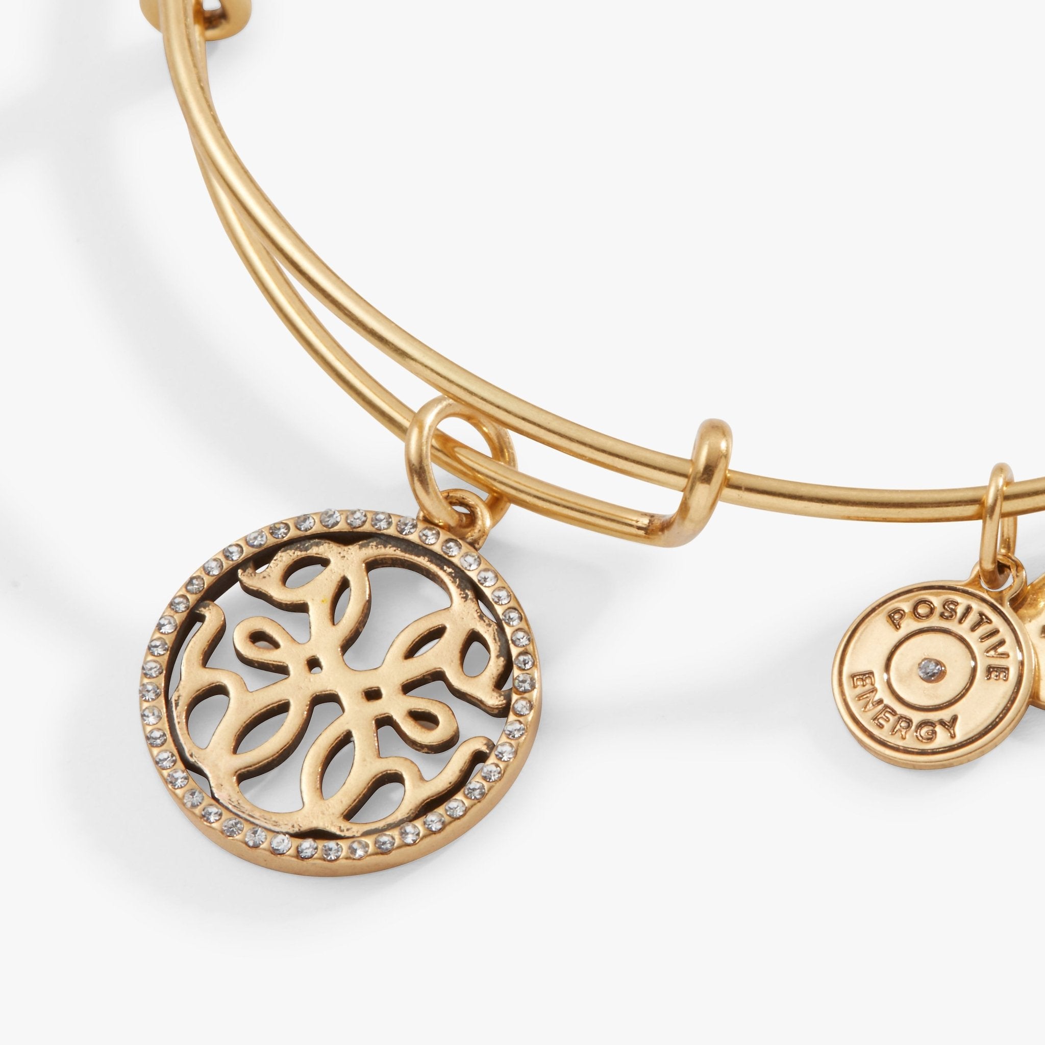 Path of Life Charm Bangle by ALEX AND ANI at Shirley Shoppe