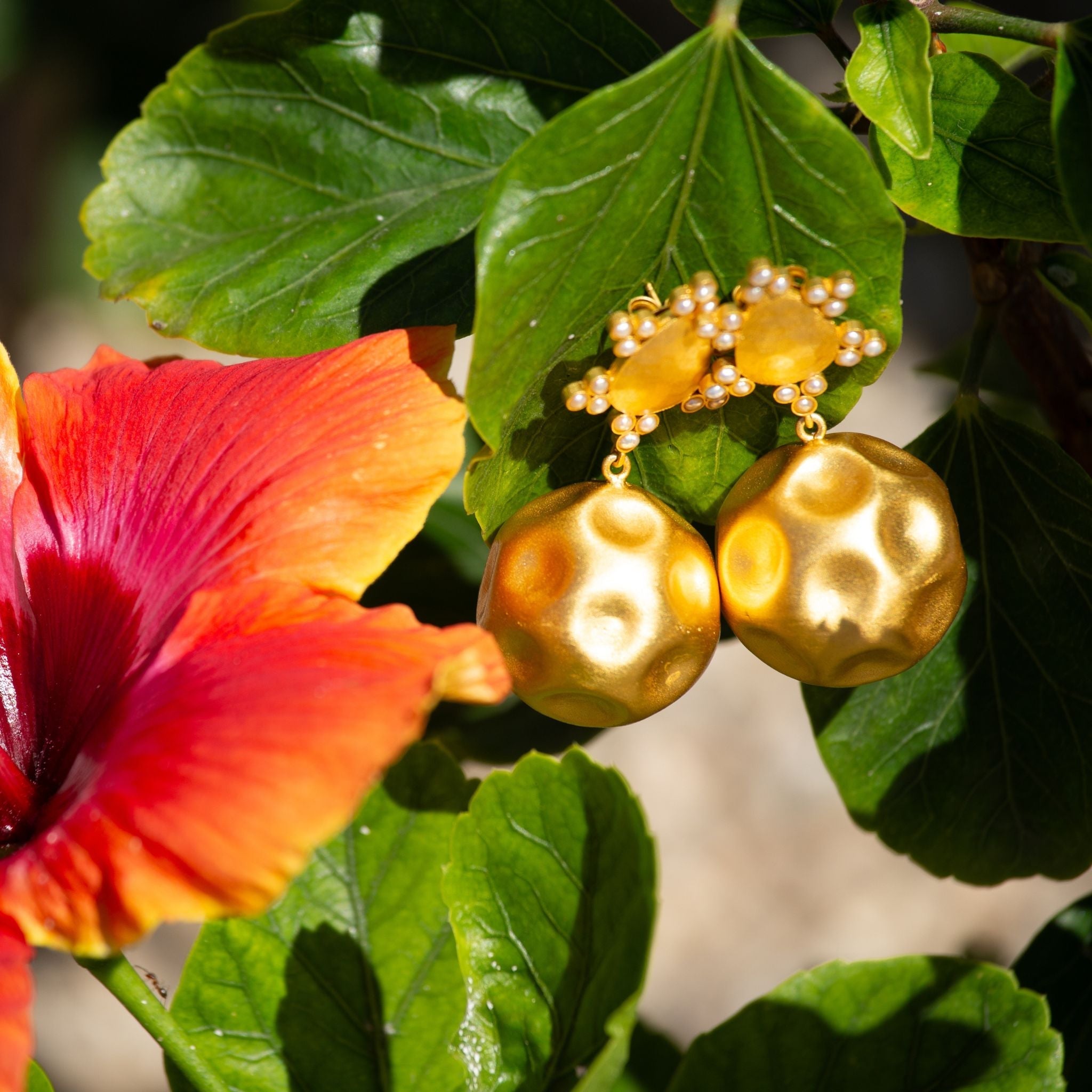 Playa del Sol Drop Earrings - Pearl by Christina Greene at Shirley Shoppe