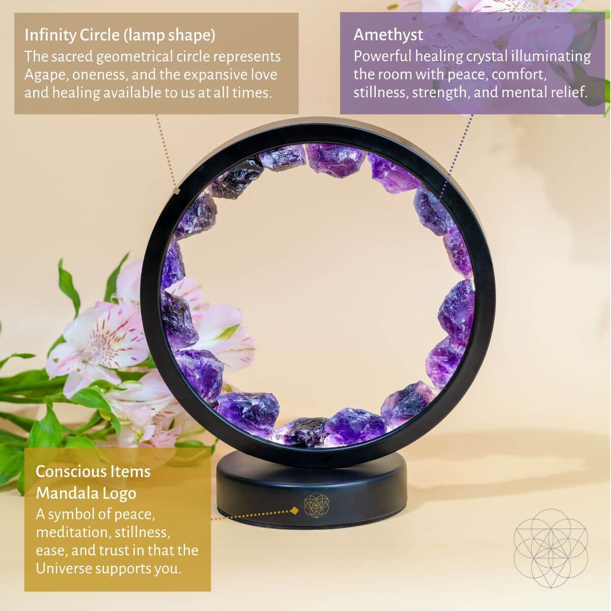 Protective Bundle (Best Sellers) by Conscious Items at Shirley Shoppe