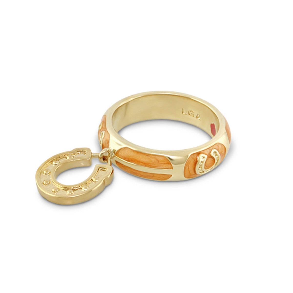 Horseshoe Equestrian Ring