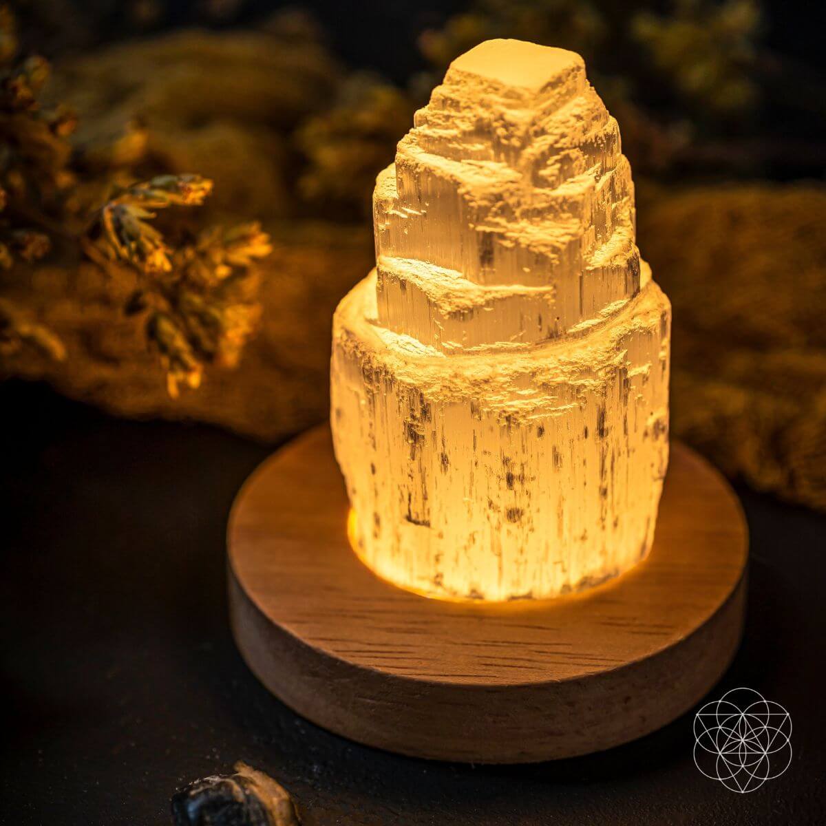 Selenite Cleansing Lamp by Conscious Items at Shirley Shoppe