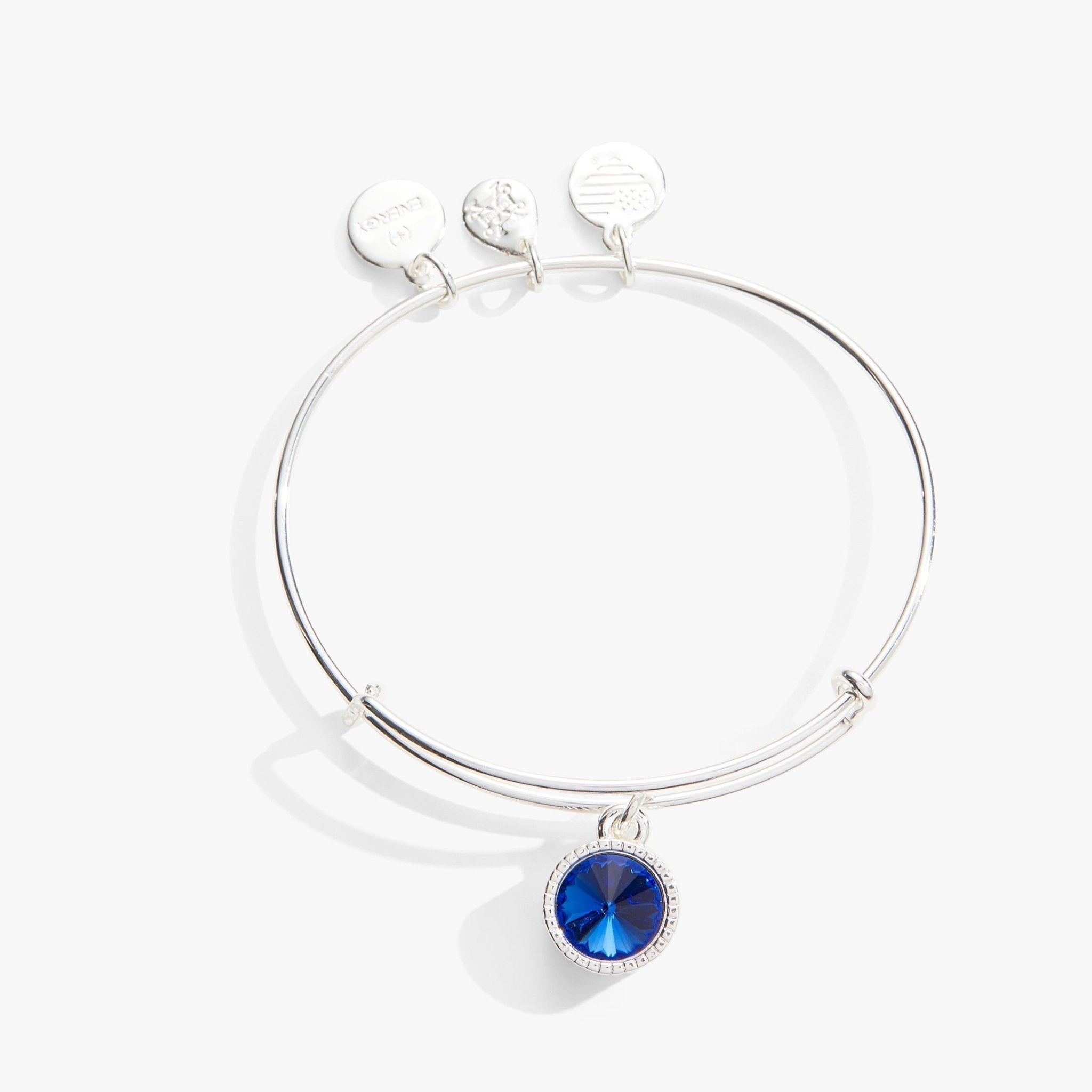 September Birthstone Charm Bangle, Sapphire by ALEX AND ANI at Shirley Shoppe