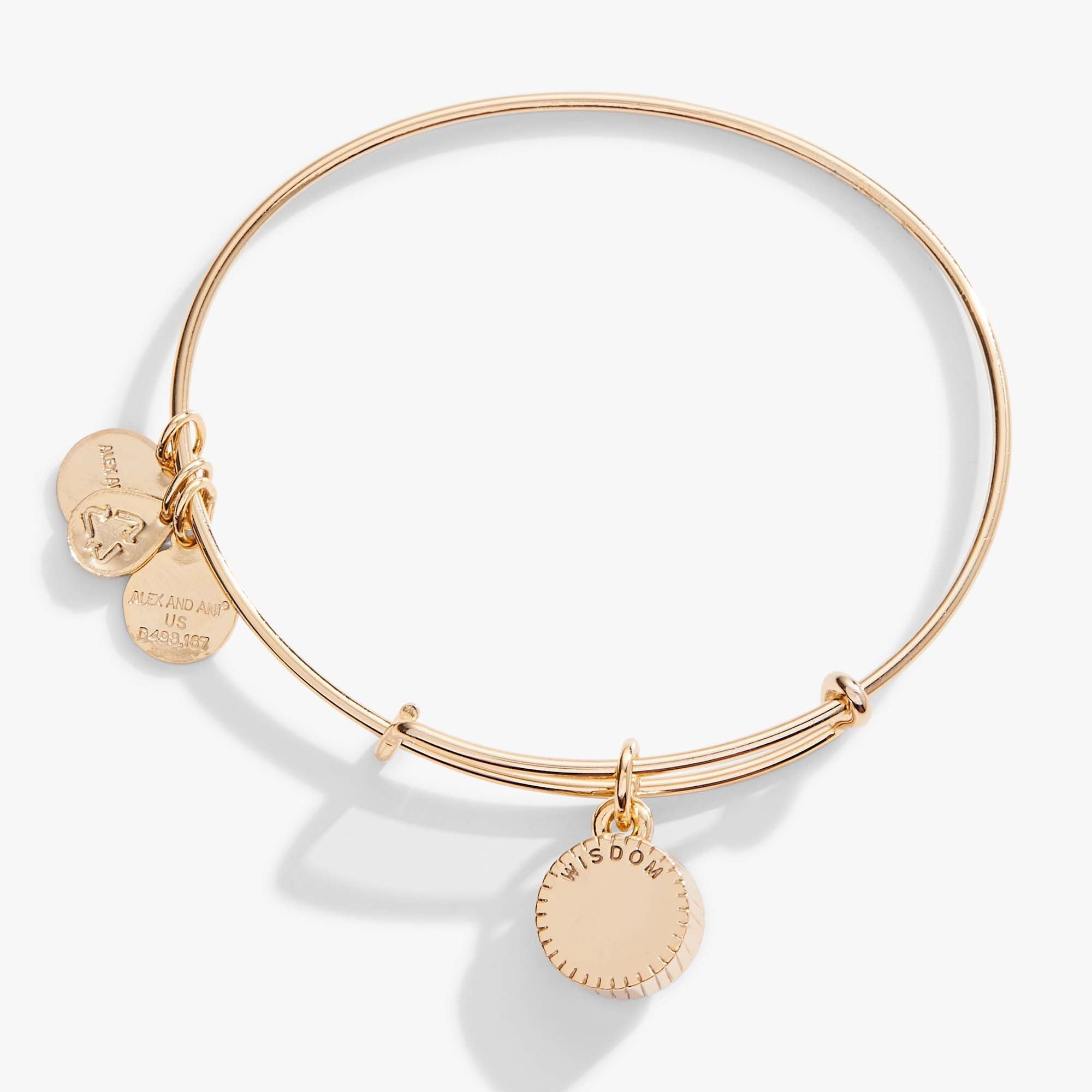 September Birthstone Charm Bangle, Sapphire by ALEX AND ANI at Shirley Shoppe