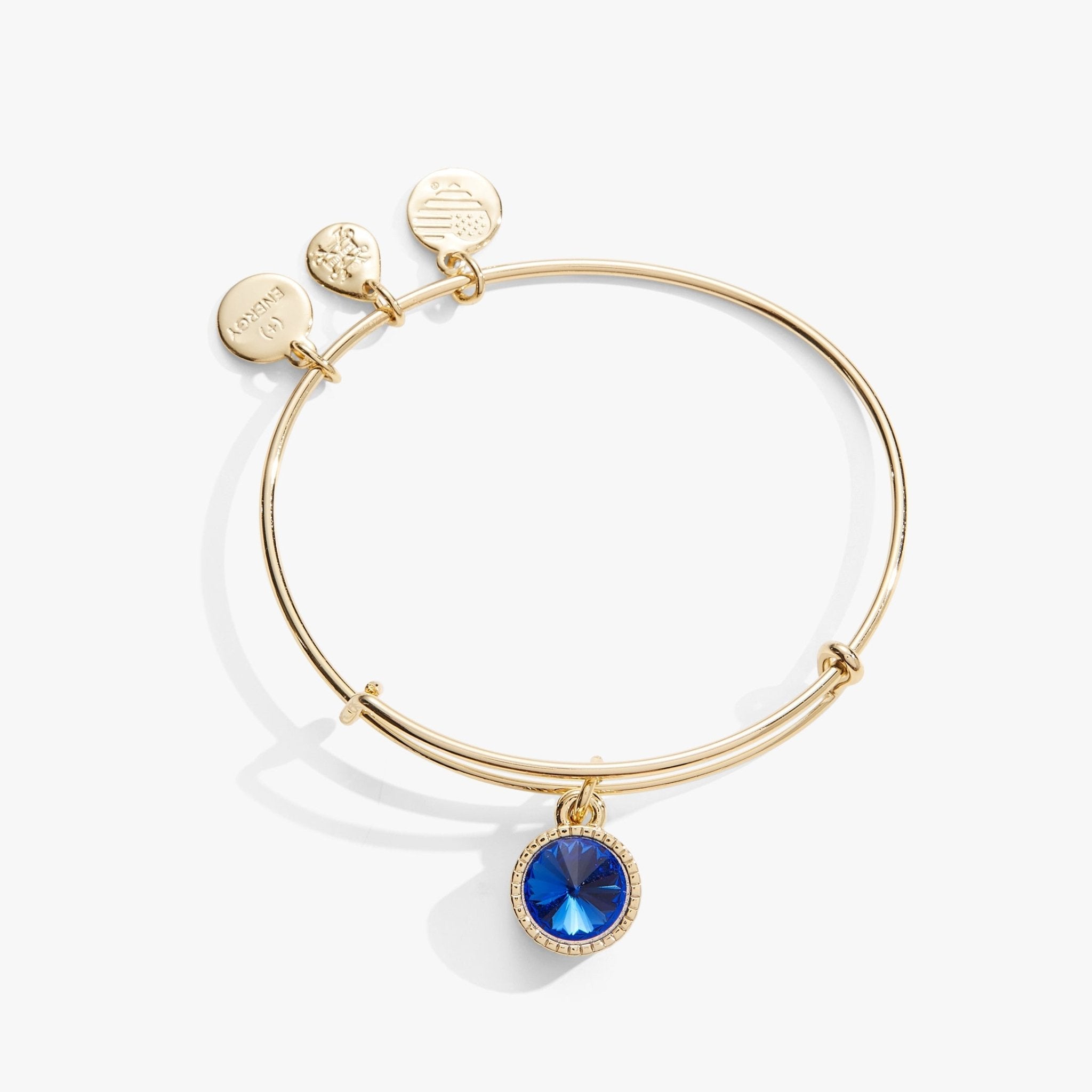 September Birthstone Charm Bangle, Sapphire by ALEX AND ANI at Shirley Shoppe
